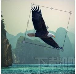 Pixeluvo下载,图像美好软件,图像处理,美图,图片编辑