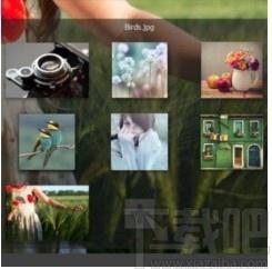 Pixeluvo下载,图像美好软件,图像处理,美图,图片编辑