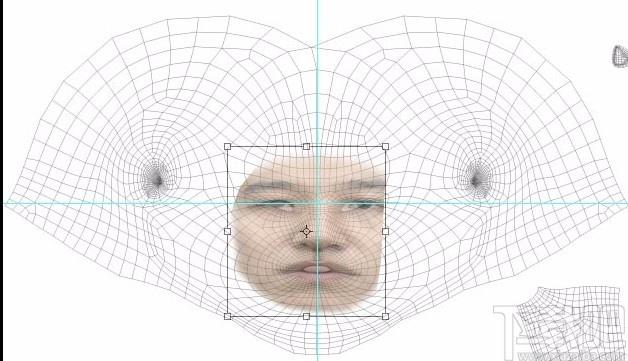 Poser pro 7下载,Poser,动画制作,3d建模