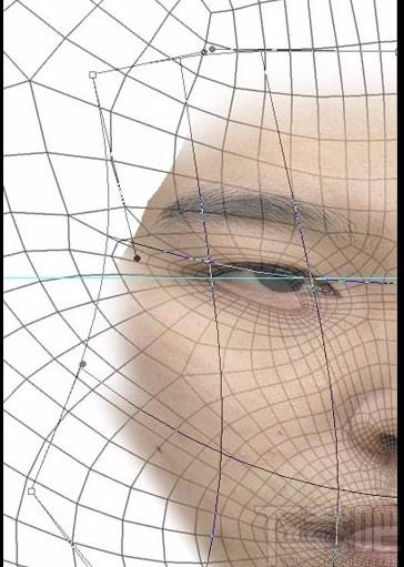 Poser pro 7下载,Poser,动画制作,3d建模